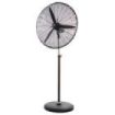 Orbegozo PWS 0168 Ventilador Industrial de Pie Potente y Portatil - Potencia de 150W - Oscilacion y Altura Regulable - Mando a Distancia - Asa de Transporte