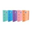 Oxford Europeanbinder Classic Carpeta de 4 Anillas Formato A4+ con Recambio Cuadriculado 5x5mm y 4 Taladros - Cierre con Goma Elastica - Colores Surtidos Tendencia