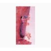 Pictura Aquarupella Gaëlle Boissonnard Tarjeta Doble 10.5x21cm - Acabado en Barniz de Relieve UV Grueso - Laminado Mate de Tacto Suave - Papel con Certificacion FSC