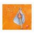 Pictura Aquarupella Gaëlle Boissonnard Tarjeta Doble 14x16cm - Acabado en Barniz de Relieve UV Grueso - Laminado Mate de Tacto Suave - Papel con Certificacion FSC