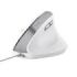 Trust Ergo Bayo Teclado - DPI Ajustable 800-2400ppp - 6 Botones - Cable 150cm -Color Blanco