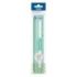 Milan New Look Regla de 20cm - Plastico Rigido - Transparente - Centimetros y Pulgadas - Color Verde
