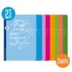 Lamela Pack de 10 Libretas Grapadas con 50 Hojas de 70g/m2 con Margen - Formato Cuarto - Pauta Cuadrovia de 2.5mm - Cubierta de Cartoncillo Plastificado - Papel Offset Blanco Extra - Colores Surtidos