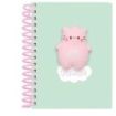 Safta Pembe The Pink Cat Bloc de Notas con Anillas - Frontal Antiestres - 135x19x179mm - Color Menta