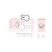 Safta Miffy Flores Pack Escolar con Portatodo de PVC - Cierre ZIP - Regla 15cm - 2 Lapices - Sacapuntas - Goma - Bloc de Notas con 70 Hojas - Multicolor