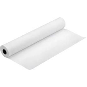 Epson Papel Production Canvas Matte 1118mm x 12.2m