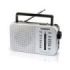 Daewoo Radio AM/FM - Cable 15cm - Jack 3.5mm - Antena Telescopica - Altavoz Integrado - Asa de Transporte - 22x7.5x15cm - Color Gris