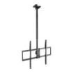 Tooq Soporte de Techo para Pantallas 50-100" - Giratorio, Inclinable y Extensible - Gestion de Cables - Peso Max. 80kg - VESA Max. 800x600mm - Color Negro