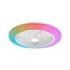 Philips Amigo Flat Fan Ceiling IR RD Ventilador de Techo con Luz LED Hasta 6500K - Aspas Integradas - 20W Ventilador + 40W Luz - RGB -  Mando a Distancia - Color Blanco