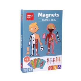 Apli Juego Magnetico del Cuerpo Humano - Ayuda a Familiarizarse con el Cuerpo Humano - 63 Piezas Magneticas y 15 Fichas - Recome