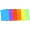 Enri Plus Cuaderno Espiral Formato Folio Cuadriculado 4x4mm - 80 Hojas 90gr con Margen - Cubierta de Plastico - Colores Surtidos