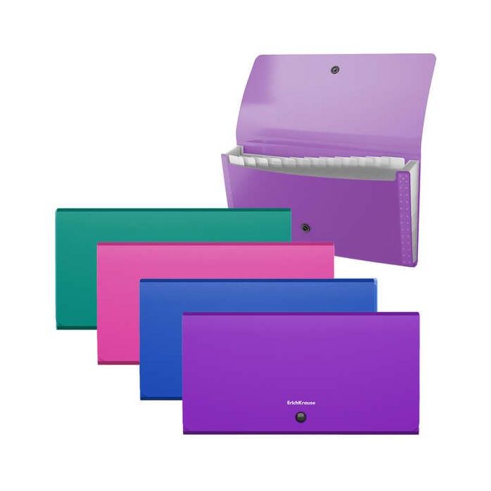 Erichkrause Clasificadores Matt Vivid - 12 Fundas - Tamaño Cheque - Colores Surtidos