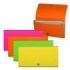 Erichkrause Clasificadores Matt Neon - 12 Fundas - Tamaño Cheque - Colores Surtidos