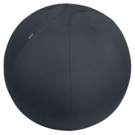 Leitz Ergo Active Balon de Asiento Antideslizante 65cm - Asa de Transporte Resistente - Carga Maxima de 150kg - Funda Lavable -