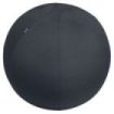 Leitz Ergo Active Balon de Asiento Antideslizante 65cm - Asa de Transporte Resistente - Carga Maxima de 150kg - Funda Lavable -