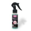 Prady Ambientador Coche Fashion Shop - Frasco de 100 ml - Spray Pulverizador