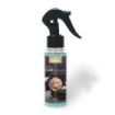 Prady Ambientador Coche Ritual Spa - Frasco de 100 ml - Spray Pulverizador