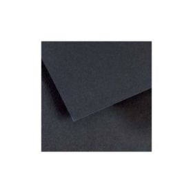 Canson Mi-Teintes Pack de 10 Hojas 160 g/m² - Tamaño 50 x 65cm - Doble Cara Grano Nido de Abeja y Grano Fino - Certificado FSC -