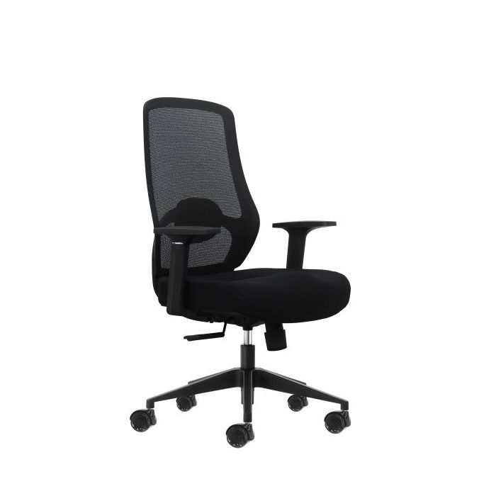 Oqonos Cherg 001 Silla de Oficina Ergonomica con Soporte Lumbar Ajustable en Altura y Profundidad, Respaldo de Malla Transpirabl