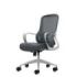 Oqonos Cherg 009 Silla de Oficina Ergonomica con Respaldo de Malla Transpirable, Piston de Gas Clase 4, Soporte Lumbar, Reposabr