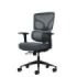 Oqonos Cherg 013 Silla de Oficina Ergonomica con Respaldo y Asiento de Malla Elastica, Reposabrazos 4D, Asiento Deslizable Ergon