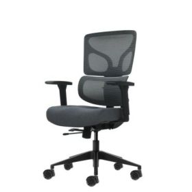 Oqonos Cherg 013 Silla de Oficina Ergonomica con Respaldo y Asiento de Malla Elastica, Reposabrazos 4D, Asiento Deslizable Ergon