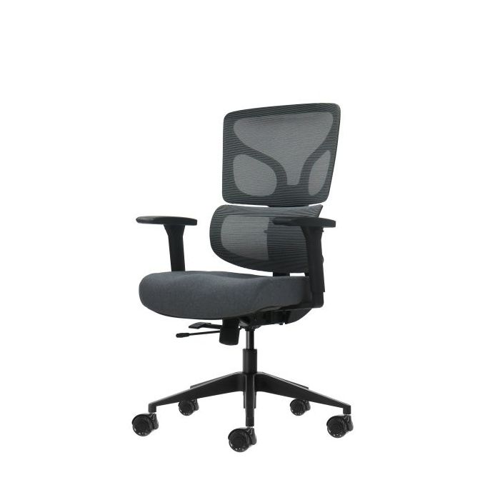 Oqonos Cherg 013 Silla de Oficina Ergonomica con Respaldo y Asiento de Malla Elastica, Reposabrazos 4D, Asiento Deslizable Ergon