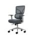 Oqonos Cherg 015 Silla de Oficina Ergonomica con Respaldo y Asiento de Malla Elastica, Reposabrazos 4D, Asiento Deslizable Ergon