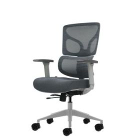 Oqonos Cherg 015 Silla de Oficina Ergonomica con Respaldo y Asiento de Malla Elastica, Reposabrazos 4D, Asiento Deslizable Ergon