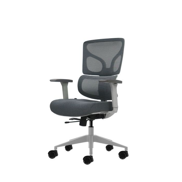 Oqonos Cherg 015 Silla de Oficina Ergonomica con Respaldo y Asiento de Malla Elastica, Reposabrazos 4D, Asiento Deslizable Ergon