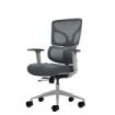 Oqonos Cherg 015 Silla de Oficina Ergonomica con Respaldo y Asiento de Malla Elastica, Reposabrazos 4D, Asiento Deslizable Ergon
