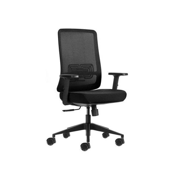 Oqonos Cherg 017 Silla de Oficina Ergonomica con Tejido Impermeable, Mecanismo Autobalanceado, Soporte Lumbar Ajustable, Reposab