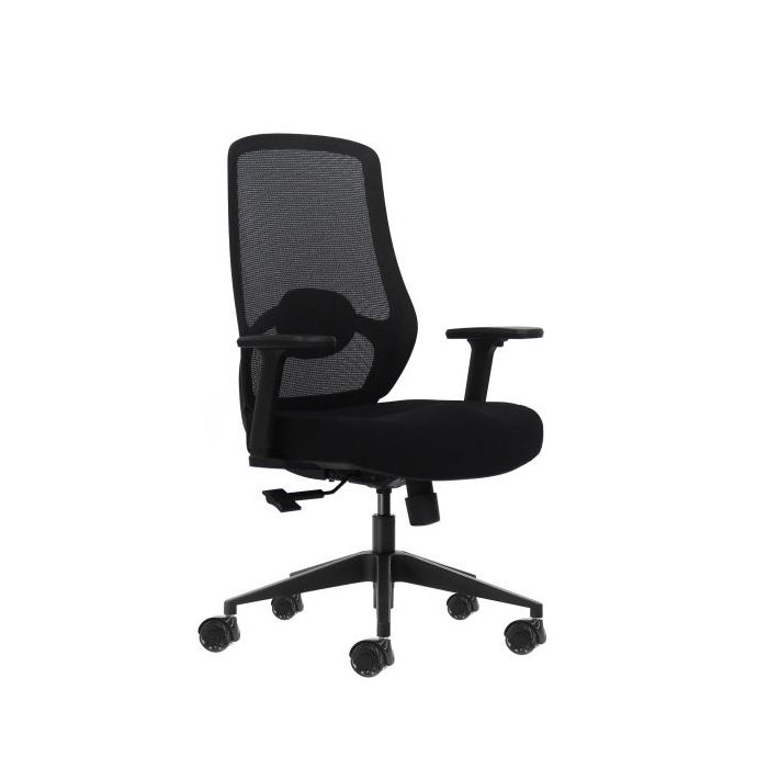 Oqonos Cherg 024 Silla de Oficina Ergonomica con Soporte Lumbar Ajustable en Altura y Profundidad, Reposabrazos 4D, Piston de Ga