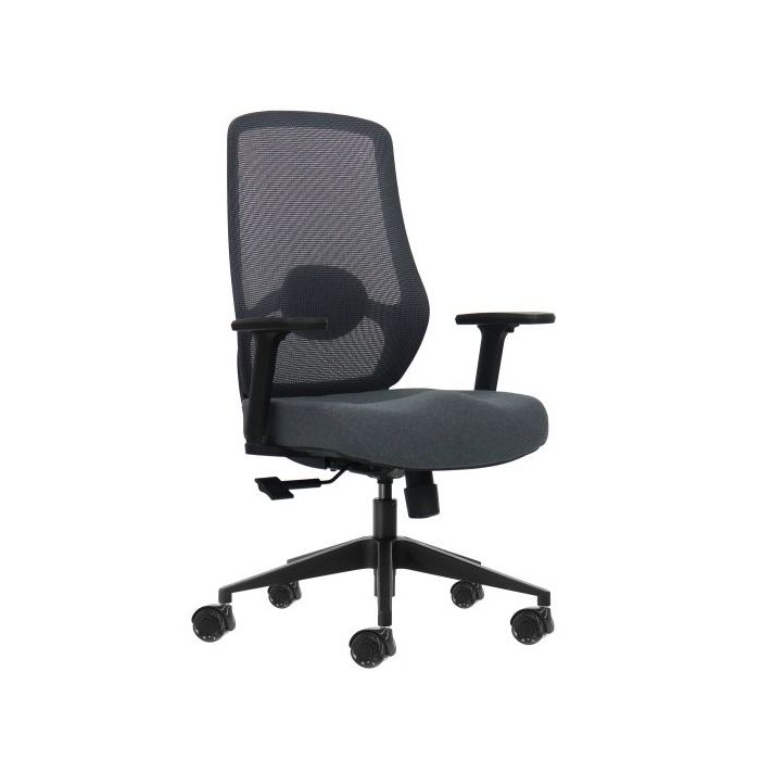 Oqonos Cherg 025 Silla de Oficina Ergonomica con Soporte Lumbar Ajustable en Altura y Profundidad, Reposabrazos 4D, Piston de Ga