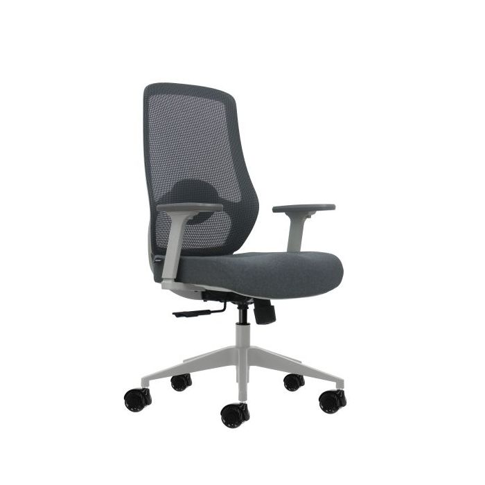 Oqonos Cherg 026 Silla de Oficina Ergonomica con Soporte Lumbar Ajustable en Altura y Profundidad, Reposabrazos 4D, Piston de Ga