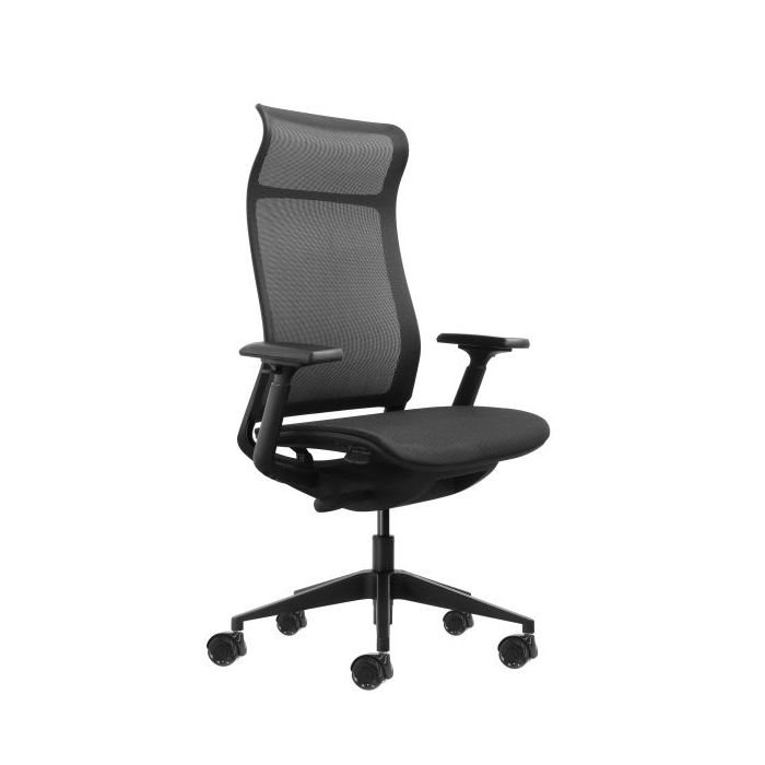 Oqonos Cherg 028 Silla de Oficina Ergonomica con Respaldo y Asiento de Malla Elastica, Mecanismo Autobalanceado, Reposabrazos 4D