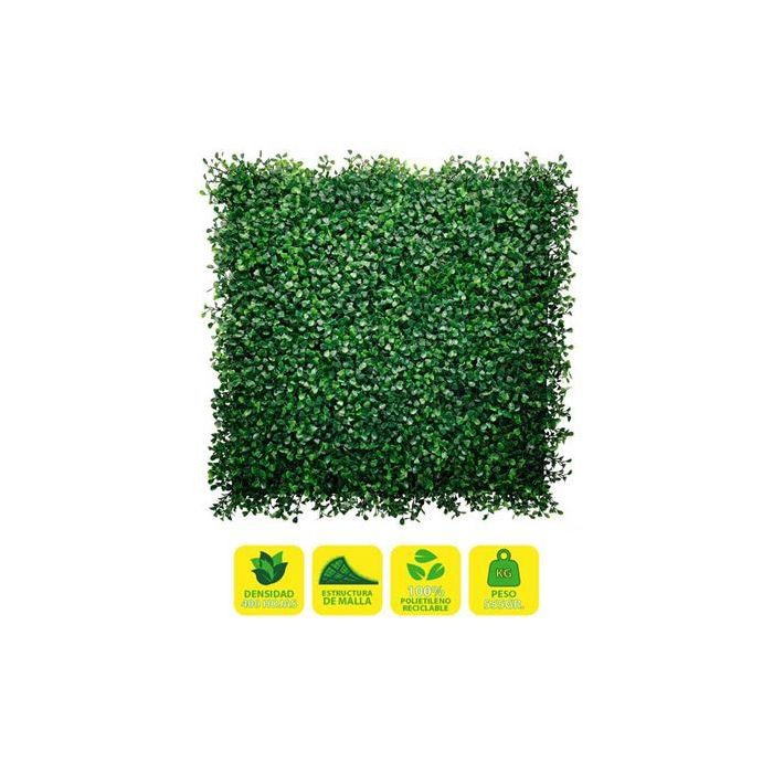 Sungarden Jardin Vertical Serie Floraria 50x50cm - Color Verde