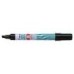 Pilot Super Color Rotulador Permanente Multisuperficie - Punta Biselada de Fibra - Tinta Base Alcohol Libre de Xileno - Cuerpo M