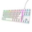 Trust GXT 833W Thado Teclado Gaming con Cable de 1.5m - Formato TKL - Iluminacion RGB - Patas Antideslizantes - 87 Teclas - Anti