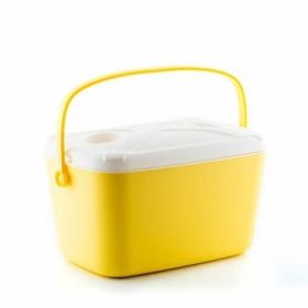 Innovagoods Lilty Nevera Portatil Rigida - Capacidad 15L - Asa de Transporte - Tapa Bandeja - Estilo Retro - Facil Limpieza - 43