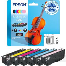 Epson 250 Pack de 6 Cartuchos de Tinta Originales