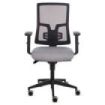 Fellowes Eleganza Silla de Oficina - Respaldo de Malla Transpirable Ajustable en Altura - Soporte Lumbar Ajustable - Reposabrazo