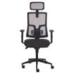 Fellowes Eleganza Plus Silla de Oficina - Respaldo de Malla Transpirable Ajustable en Altura - Soporte Lumbar Ajustable y Reposa