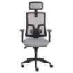 Fellowes Eleganza Plus Silla de Oficina - Respaldo de Malla Transpirable Ajustable en Altura - Soporte Lumbar Ajustable y Reposa