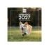 Finocam Cachorros Calendario de Pared - 16 Meses 26/27 - Mes Vista - 300x300mm - Papel de 170g/m2 - Imagenes Tematicas Surtidas
