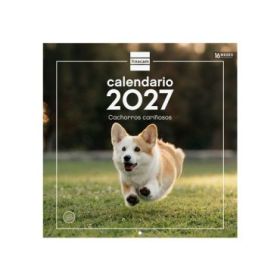 Finocam Cachorros Calendario de Pared - 16 Meses 26/27 - Mes Vista - 300x300mm - Papel de 170g/m2 - Imagenes Tematicas Surtidas