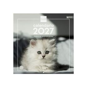 Finocam Gatitos Calendario de Pared - 16 Meses 26/27 - Mes Vista - 300x300mm - Papel de 170g/m2 - Imagenes Tematicas Surtidas -