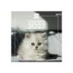 Finocam Gatitos Calendario de Pared - 16 Meses 26/27 - Mes Vista - 300x300mm - Papel de 170g/m2 - Imagenes Tematicas Surtidas -