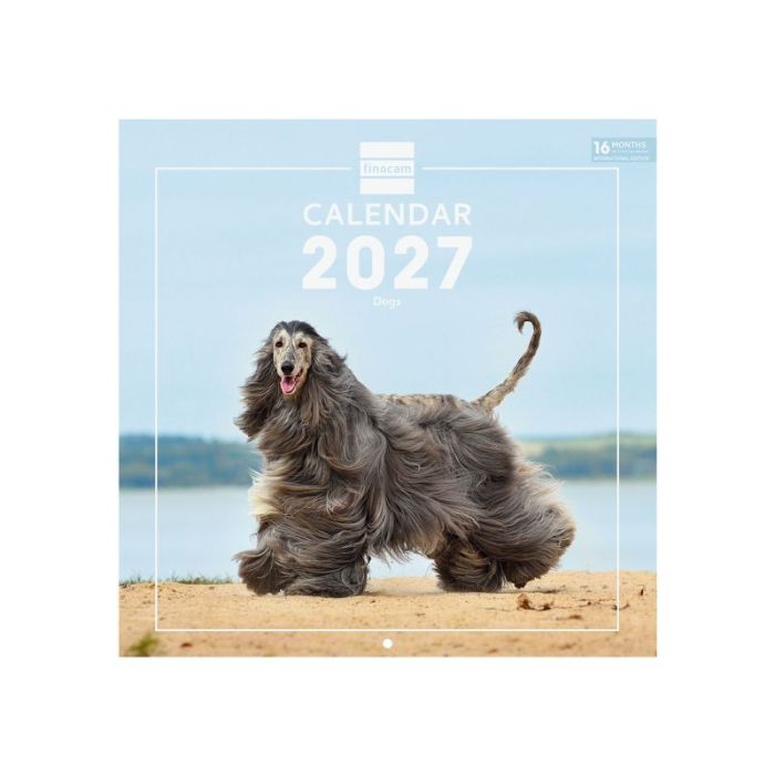 Finocam Dogs Calendario de Pared Internacional - 16 Meses 26/27 - Mes Vista - 300x300mm - Papel de 170g/m2 - Imagenes Tematicas
