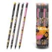 ErichKrause Positive Vibe Lapiz de Grafito con Goma de Borrar - Mina HB - Cuerpo Redondo - Plastico - Colores Surtidos